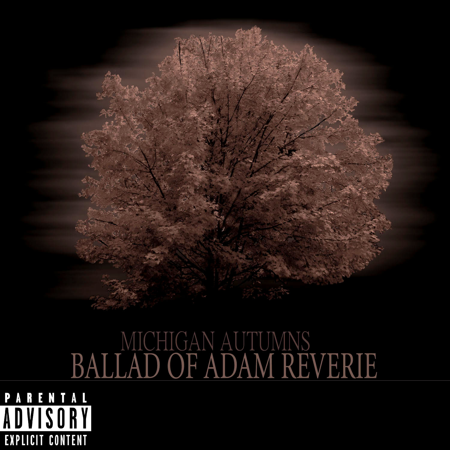 Adam Reverie “Michigan Autumns: Ballad Of Adam Reverie” [DON’T SLEEP!]