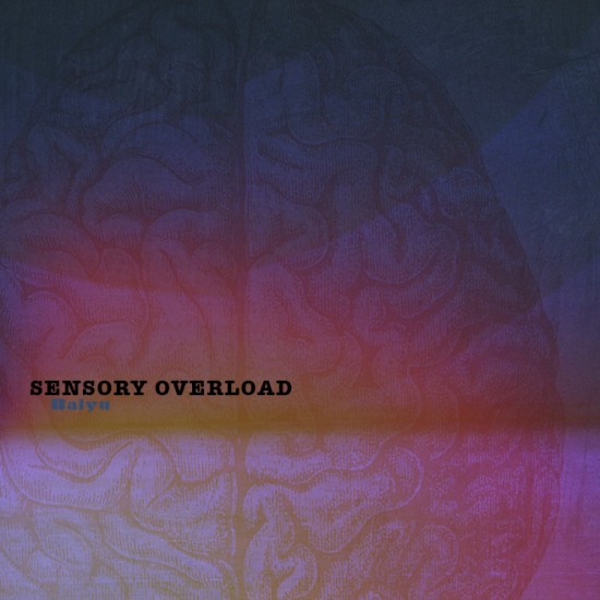 Baiyu_Sensory Overload_Cover