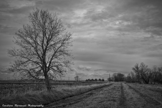 Abandoned farm (Cendrine Marrouat)