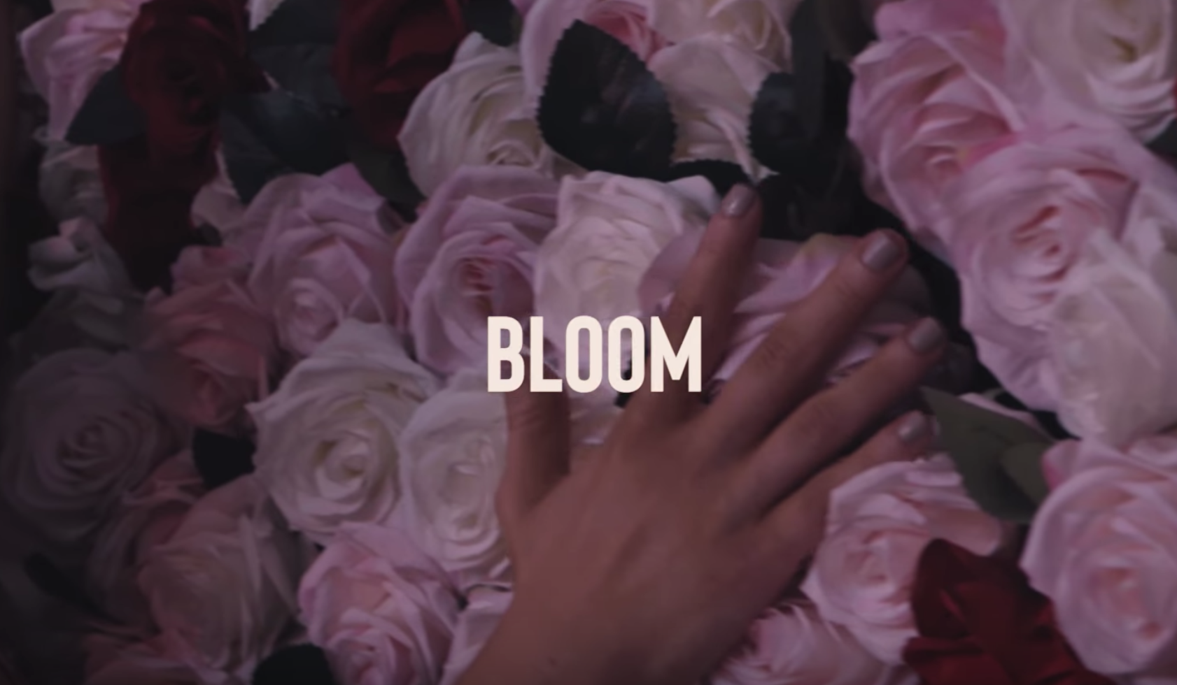 Duelle – â€œBloomâ€