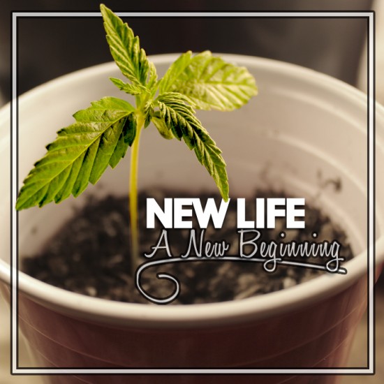 New Life “A New Beginning” EP