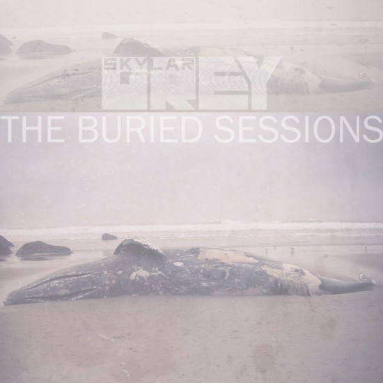 Skylar Grey “The Buried Sessions” [ON ITUNES NOW]