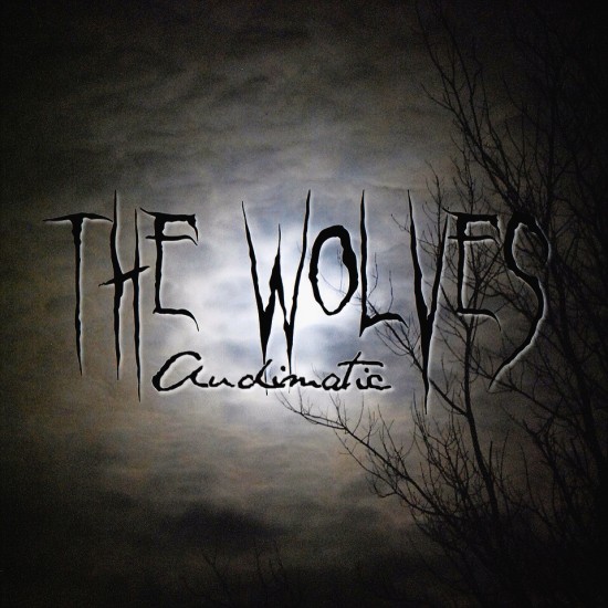 Audimatic (The Audible Doctor & maticulous) “The Wolves” [DON’T SLEEP!]